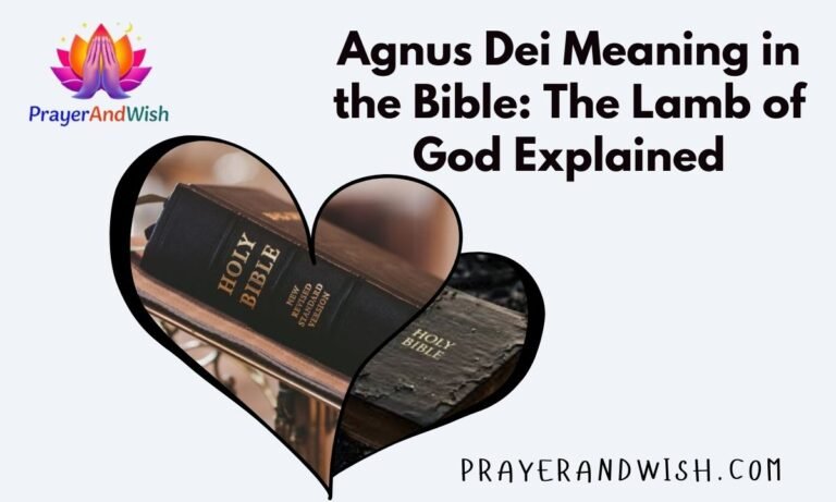 Agnus Dei Meaning in the Bible: The Lamb of God Explained