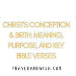 Christ's Conception & Birth: Meaning, Purpose, and Key Bible Verses Christ's Conception & Birth: Meaning, Purpose, and Key Bible Verses