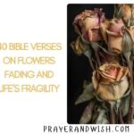 40 Bible Verses on Flowers Fading and Life’s Fragility 40 Bible Verses on Flowers Fading and Life’s Fragility