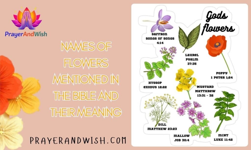 Names of Flowers Mentioned in the Bible and Their Meaning